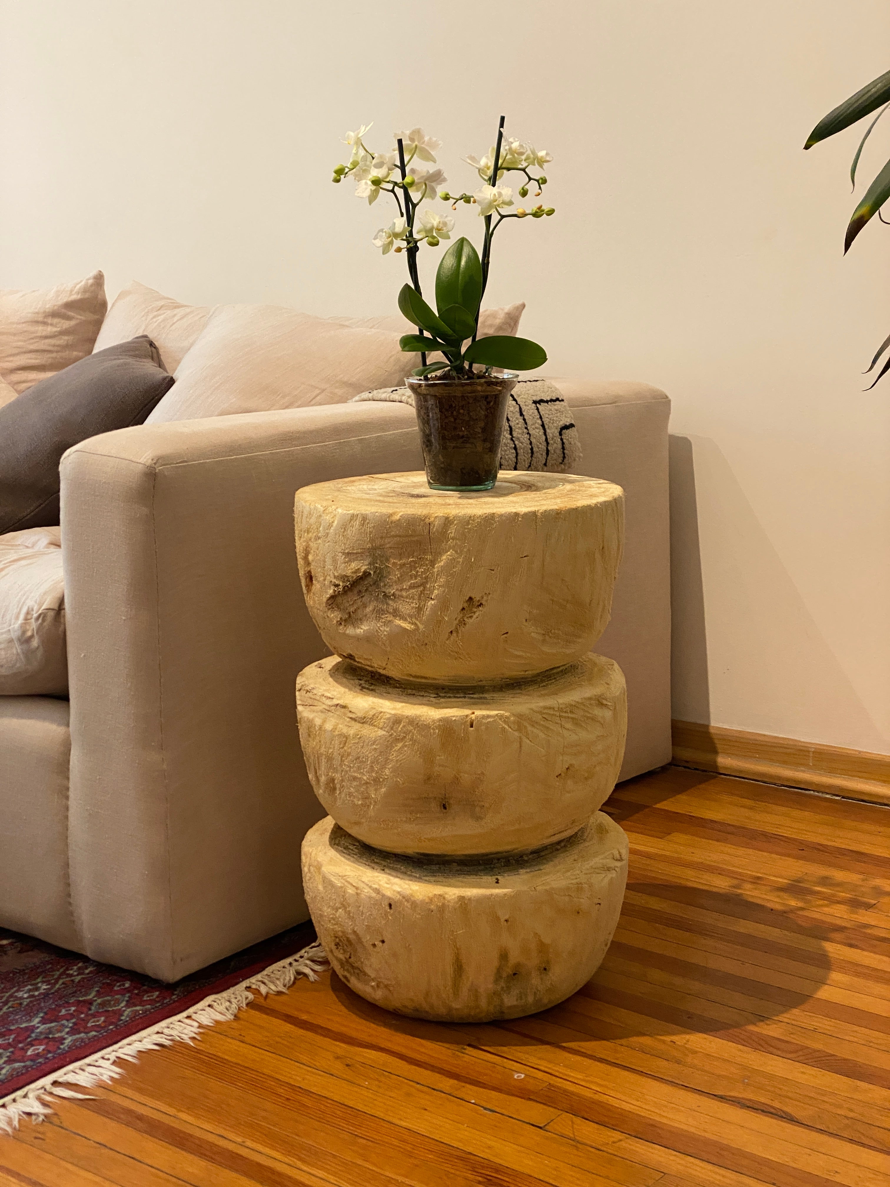 mesa auxiliar de madera hongos - pieza única